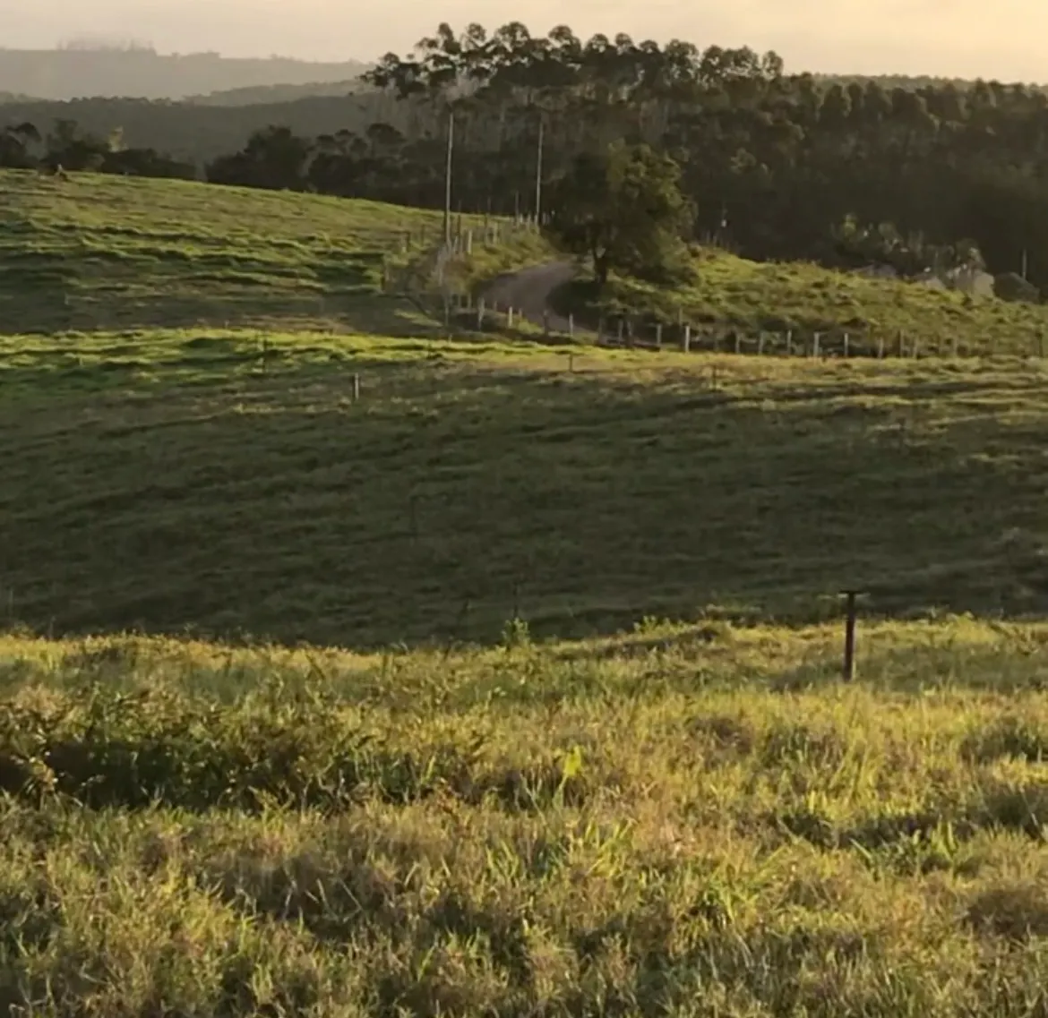 Sítio à venda de 22 ha em Pilar do Sul, SP, Brasil