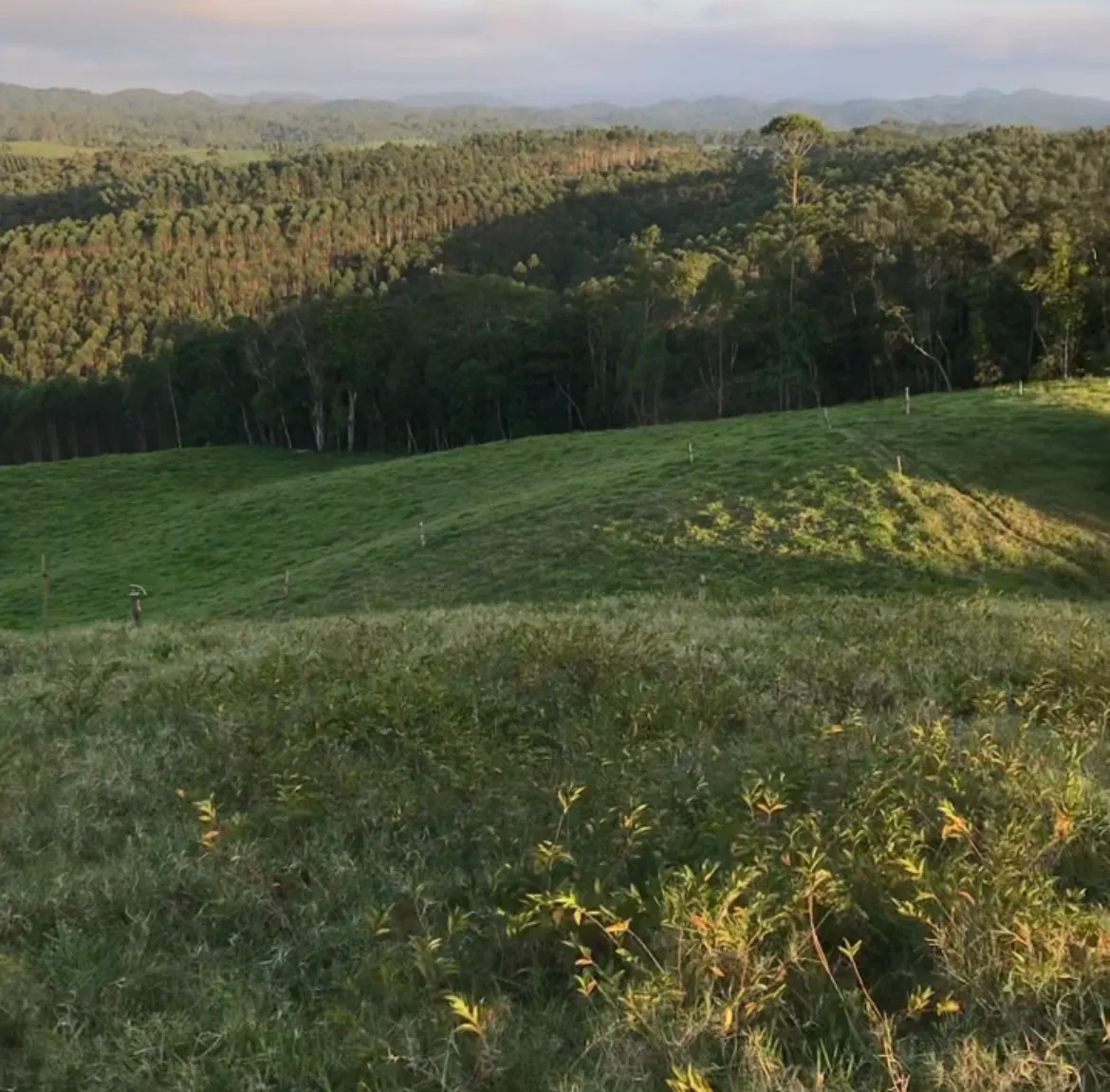 Sítio à venda de 22 ha em Pilar do Sul, SP, Brasil