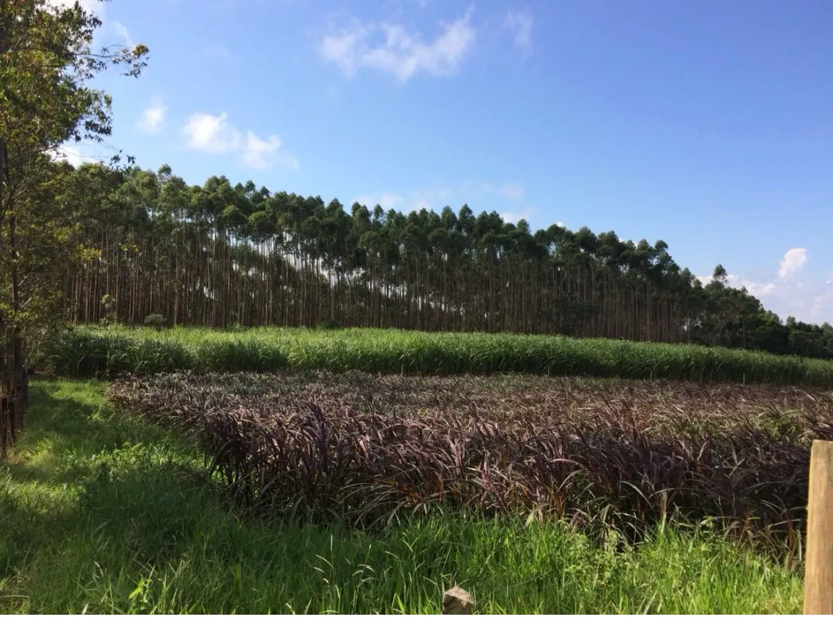 Sítio à venda de 22 ha em Pilar do Sul, SP, Brasil