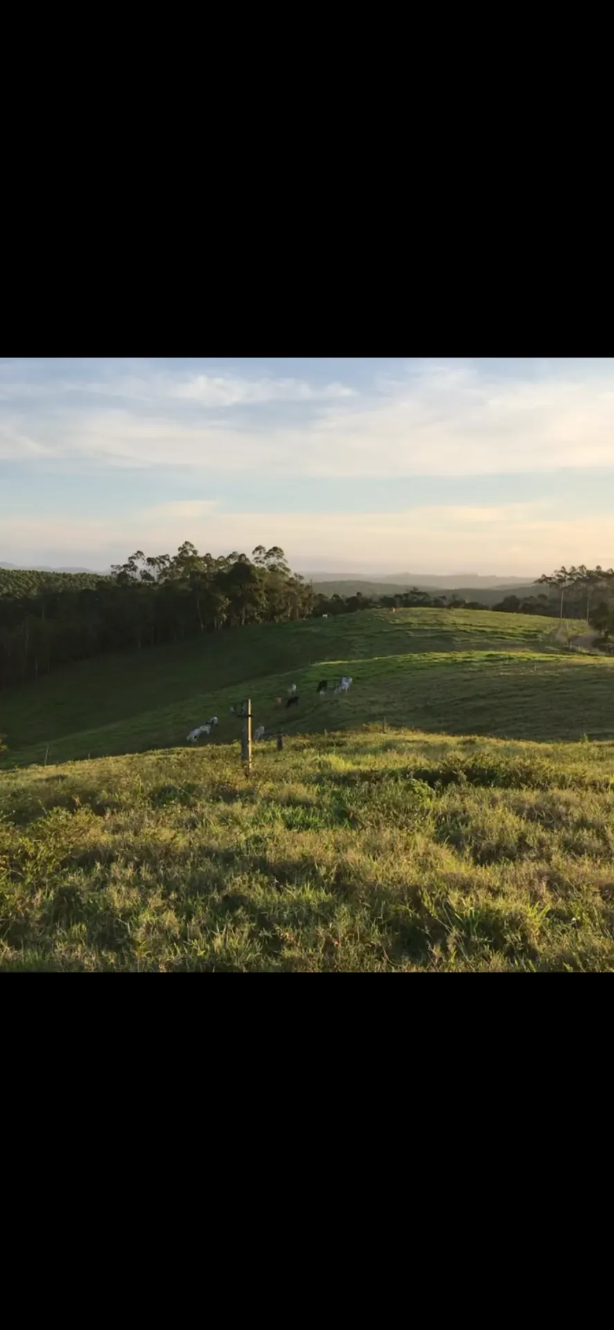 Sítio à venda de 22 ha em Pilar do Sul, SP, Brasil