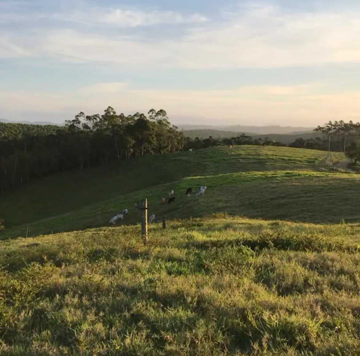 Sítio à venda de 22 ha em Pilar do Sul, SP, Brasil