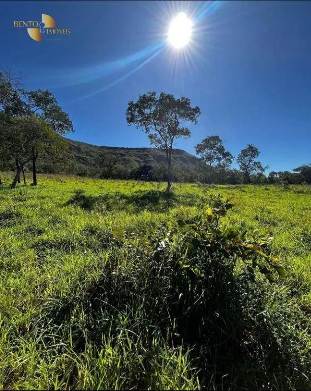 Fazenda à venda de 370 ha em Guiratinga, MT, Brasil