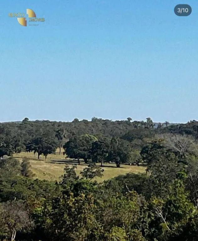 Fazenda à venda de 370 ha em Guiratinga, MT, Brasil