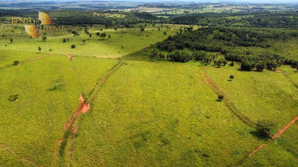 Fazenda à venda de 370 ha em Guiratinga, MT, Brasil