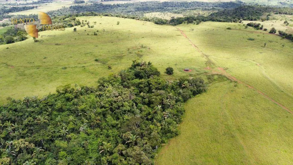 Fazenda à venda de 370 ha em Guiratinga, MT, Brasil