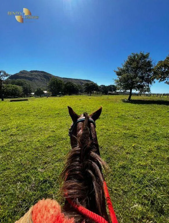 Fazenda à venda de 370 ha em Guiratinga, MT, Brasil