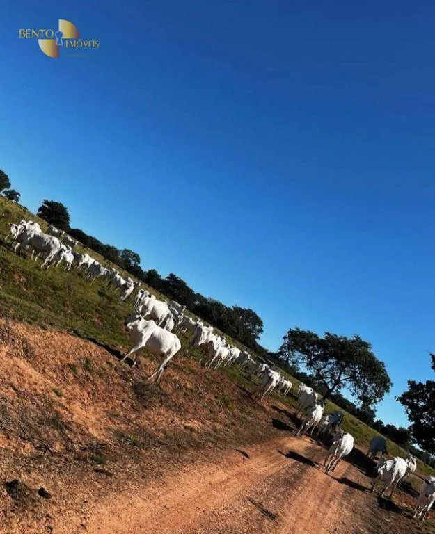 Fazenda à venda de 370 ha em Guiratinga, MT, Brasil