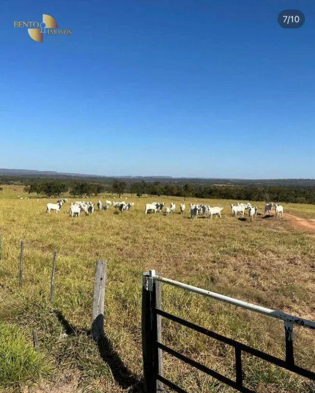 Fazenda à venda de 370 ha em Guiratinga, MT, Brasil