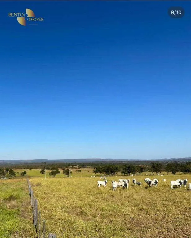 Fazenda à venda de 370 ha em Guiratinga, MT, Brasil