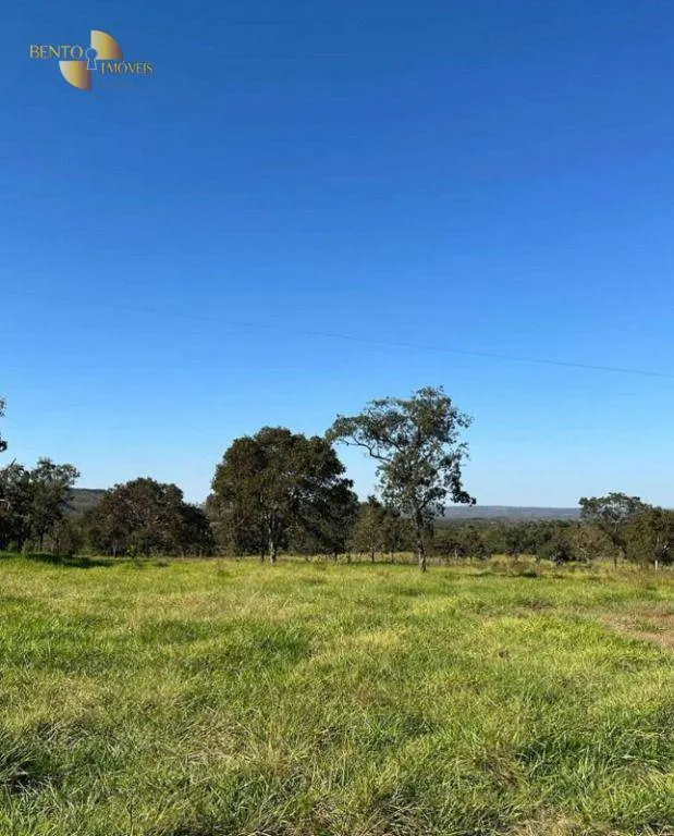 Fazenda à venda de 370 ha em Guiratinga, MT, Brasil
