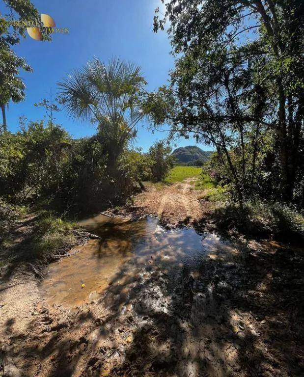 Fazenda à venda de 370 ha em Guiratinga, MT, Brasil
