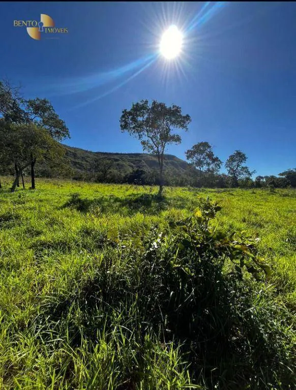 Fazenda à venda de 370 ha em Guiratinga, MT, Brasil