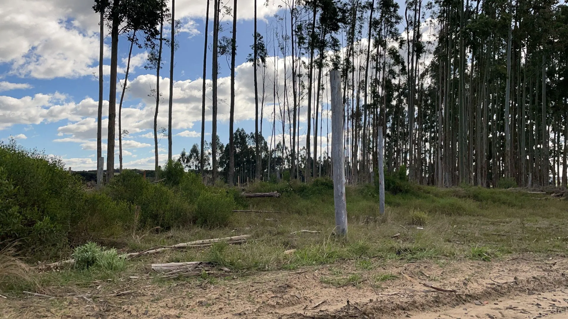 Plot for sale of 1 acres in Santo Antônio da Patrulha, RS, Brazil