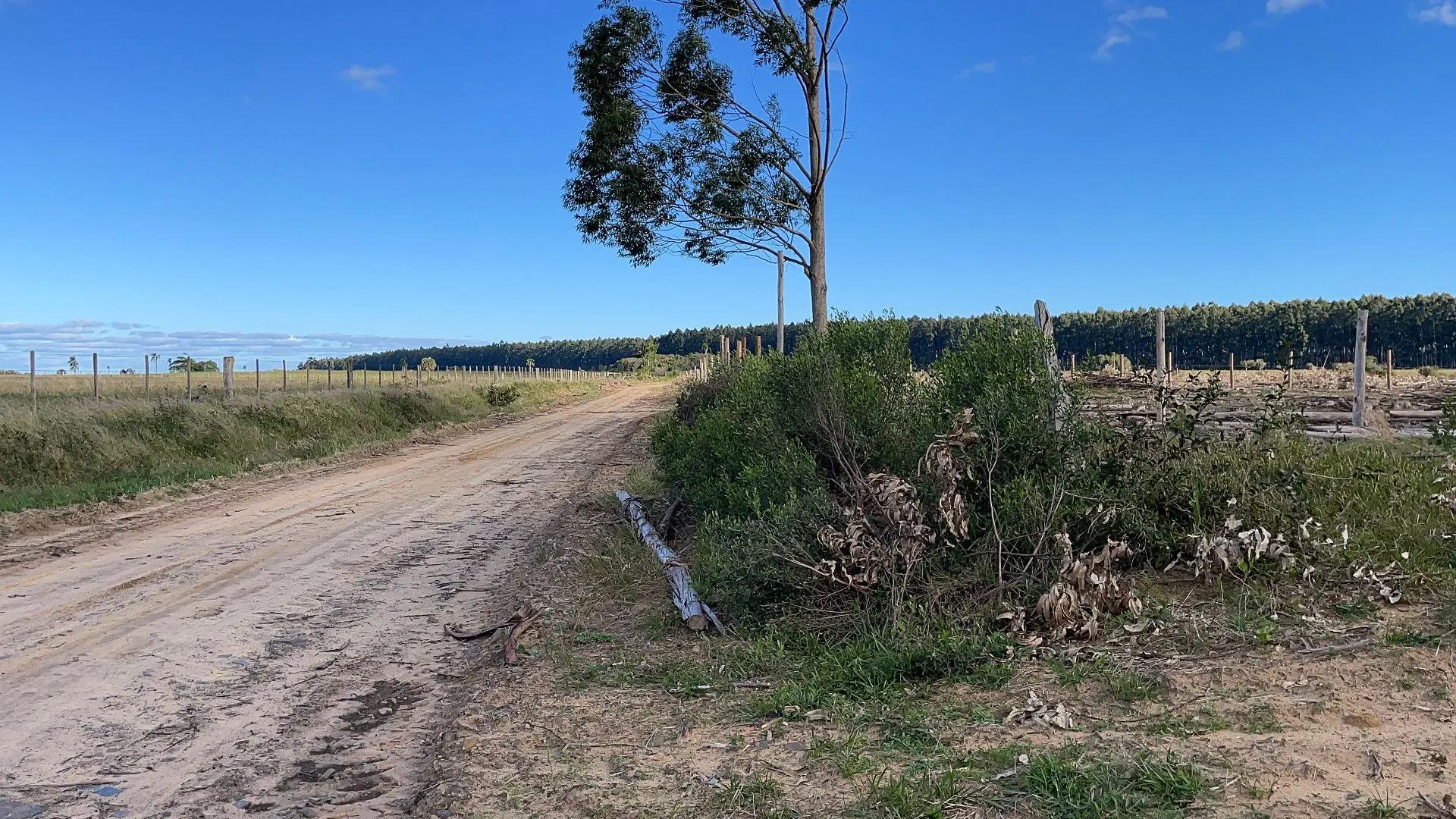 Plot for sale of 1 acres in Santo Antônio da Patrulha, RS, Brazil