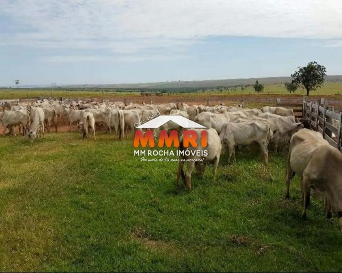 Fazenda à venda de 911 ha em Araçoiaba da Serra, SP, Brasil