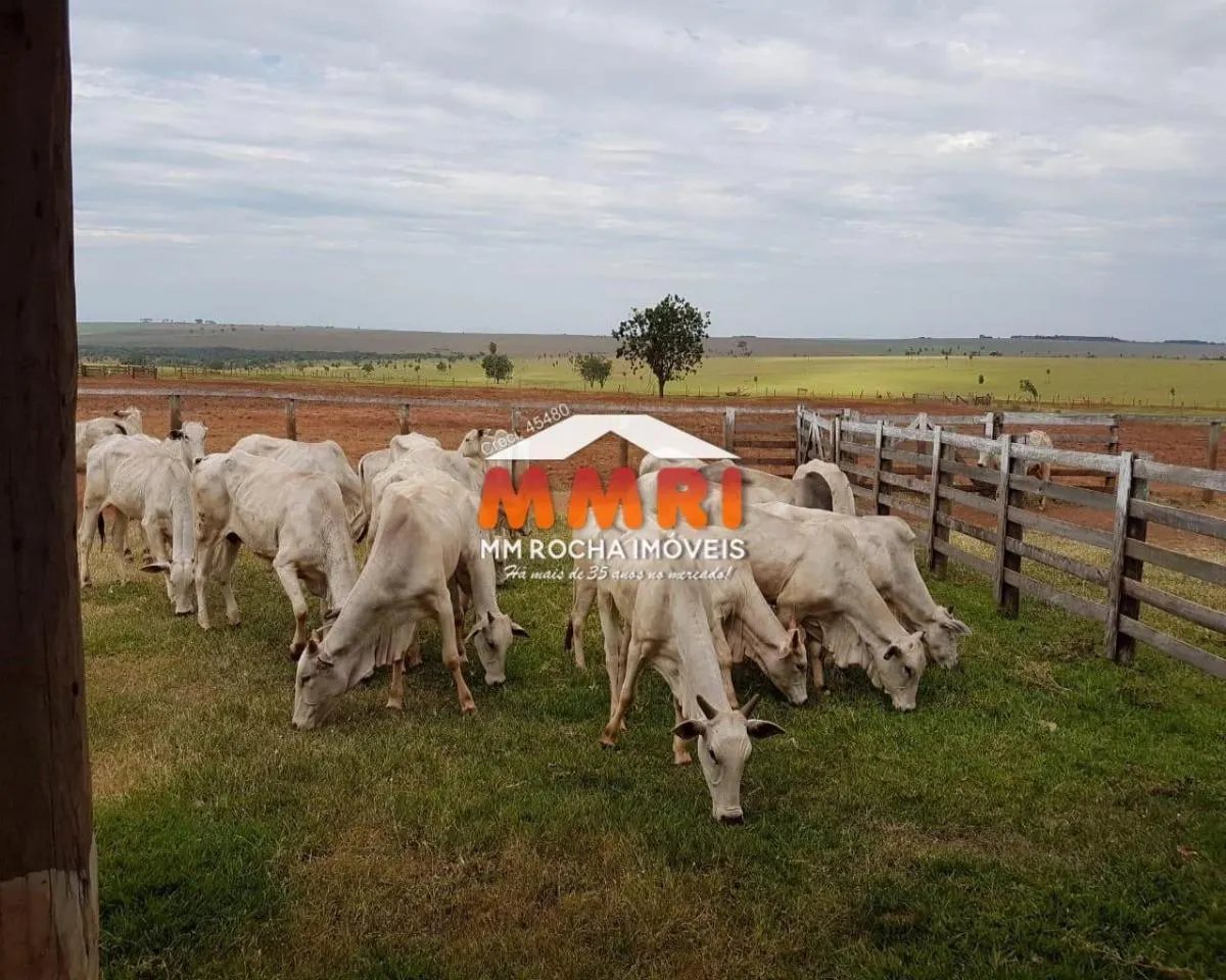 Fazenda à venda de 911 ha em Araçoiaba da Serra, SP, Brasil
