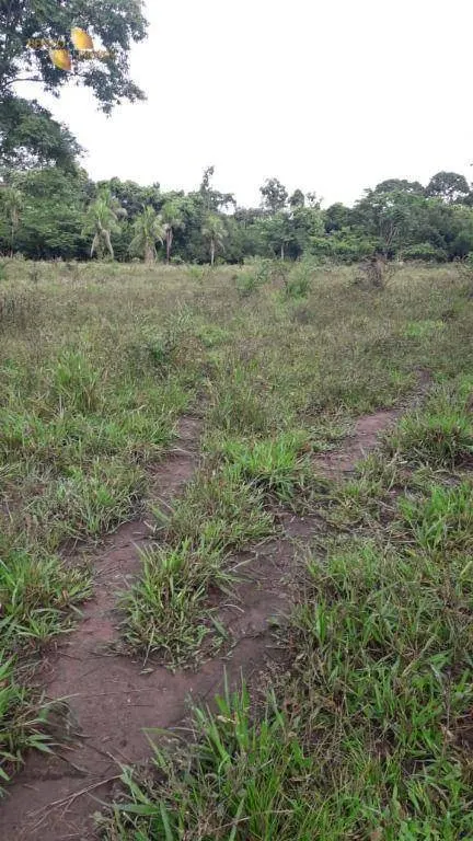 Fazenda à venda de 343 ha em Poconé, MT, Brasil