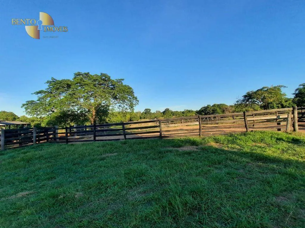 Fazenda à venda de 343 ha em Poconé, MT, Brasil