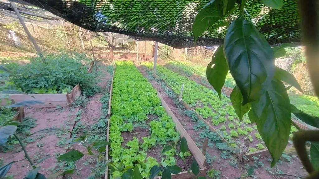Small farm for sale of 10 acres in Araraquara, SP, Brazil