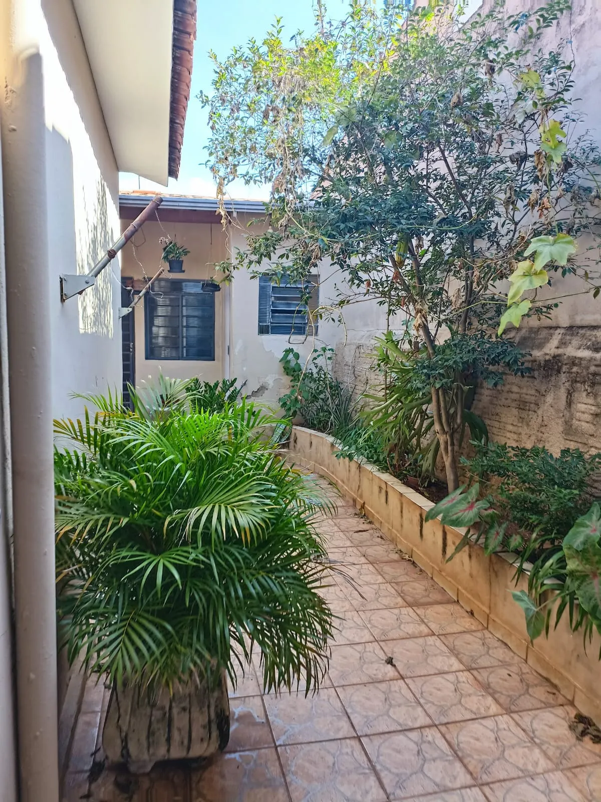 Comercial à venda de 300 m² em Paulínia, SP, Brasil