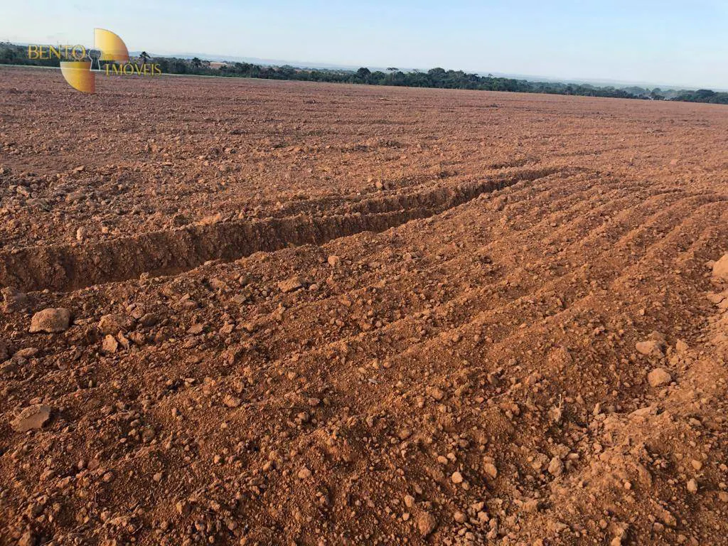 Fazenda à venda e para Arrendar de 158.000 ha em Paranatinga, MT, Brasil