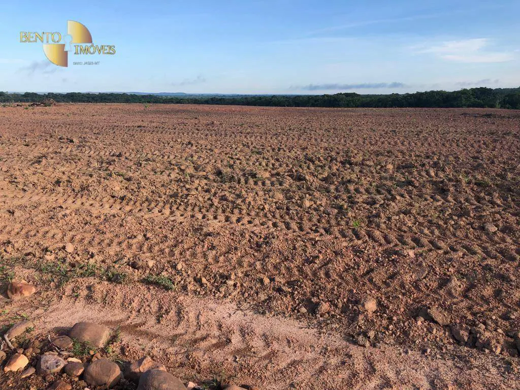 Fazenda à venda e para Arrendar de 158.000 ha em Paranatinga, MT, Brasil