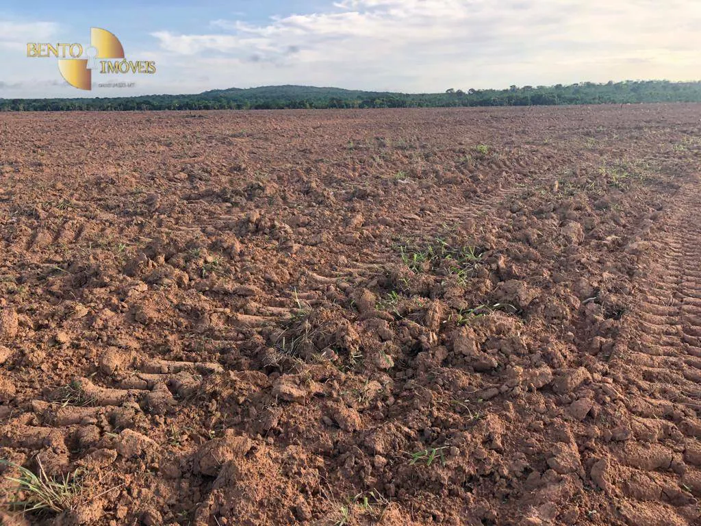 Fazenda à venda e para Arrendar de 158.000 ha em Paranatinga, MT, Brasil