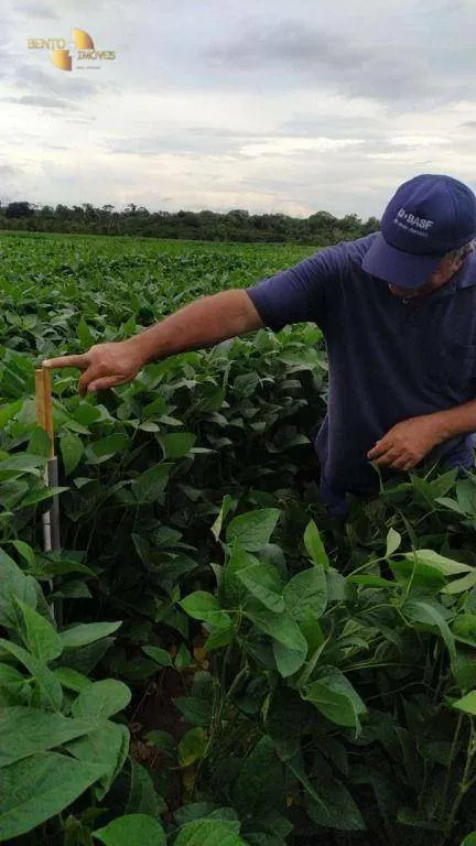 Fazenda à venda e para Arrendar de 158.000 ha em Paranatinga, MT, Brasil