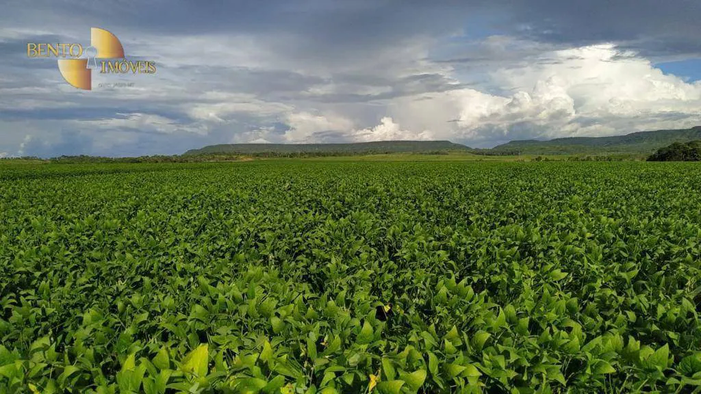 Fazenda à venda e para Arrendar de 158.000 ha em Paranatinga, MT, Brasil