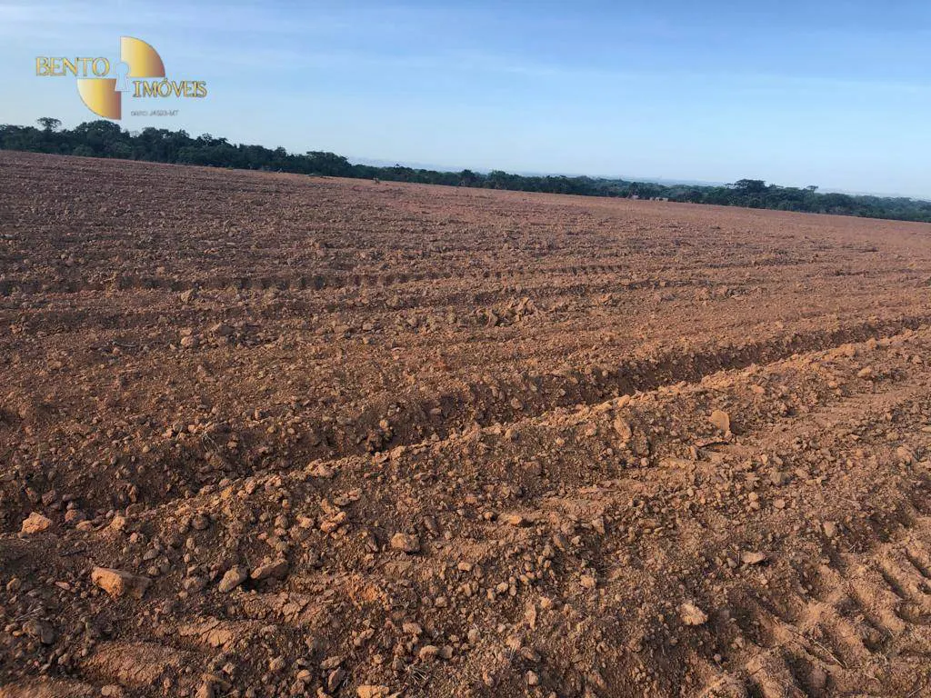 Fazenda à venda e para Arrendar de 158.000 ha em Paranatinga, MT, Brasil