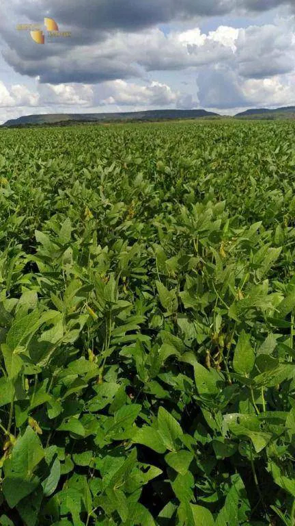 Fazenda à venda e para Arrendar de 158.000 ha em Paranatinga, MT, Brasil