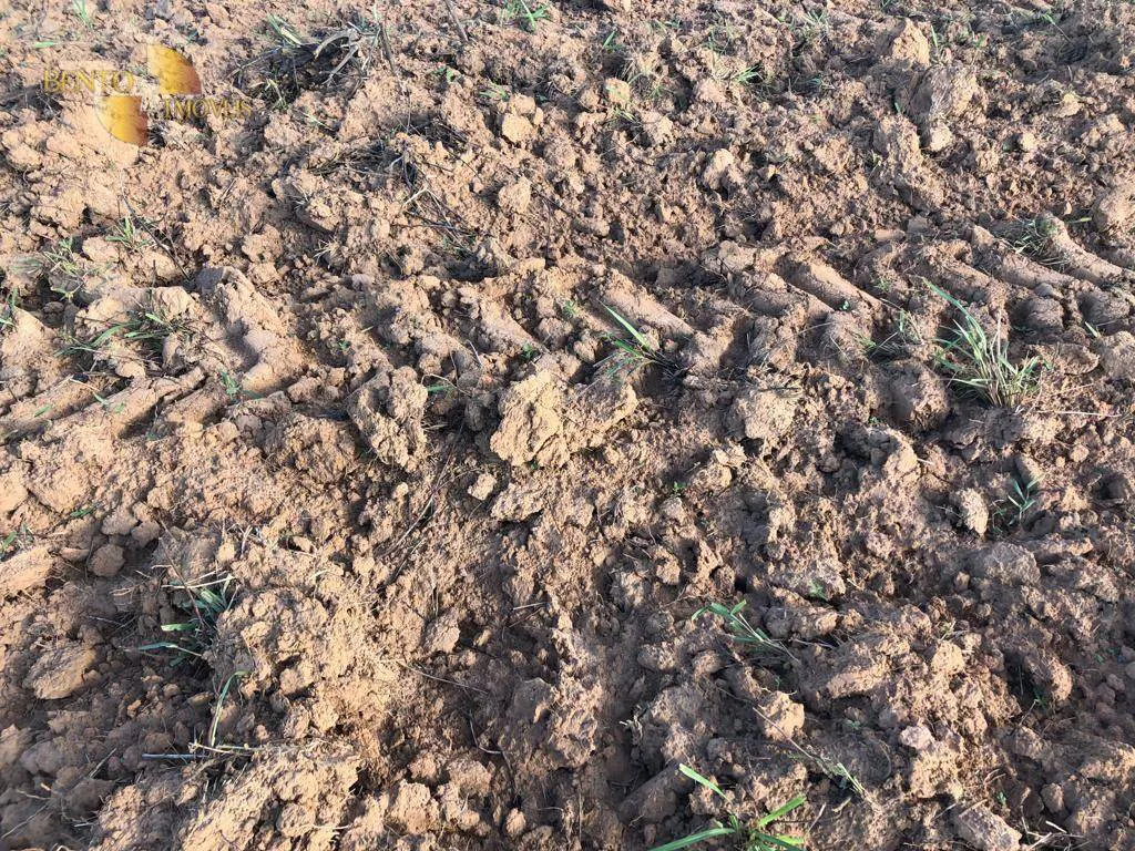Fazenda à venda e para Arrendar de 158.000 ha em Paranatinga, MT, Brasil