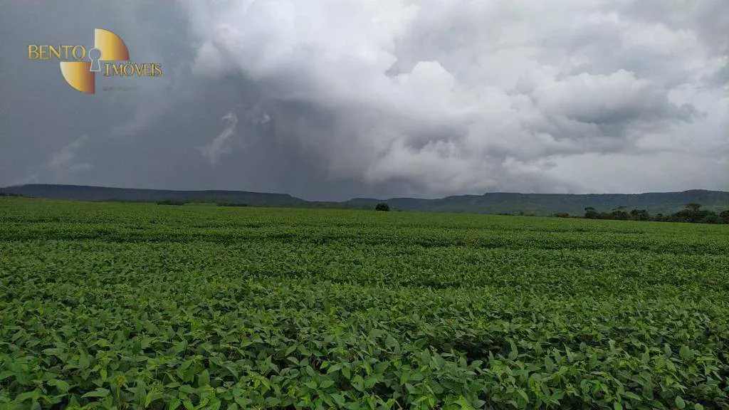 Fazenda à venda e para Arrendar de 158.000 ha em Paranatinga, MT, Brasil
