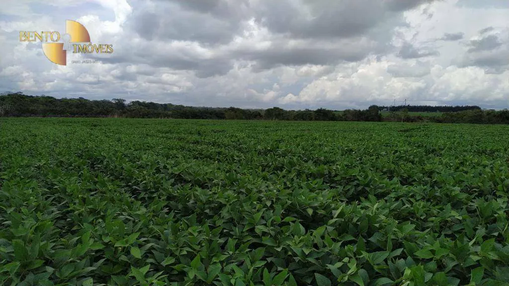 Fazenda à venda e para Arrendar de 158.000 ha em Paranatinga, MT, Brasil