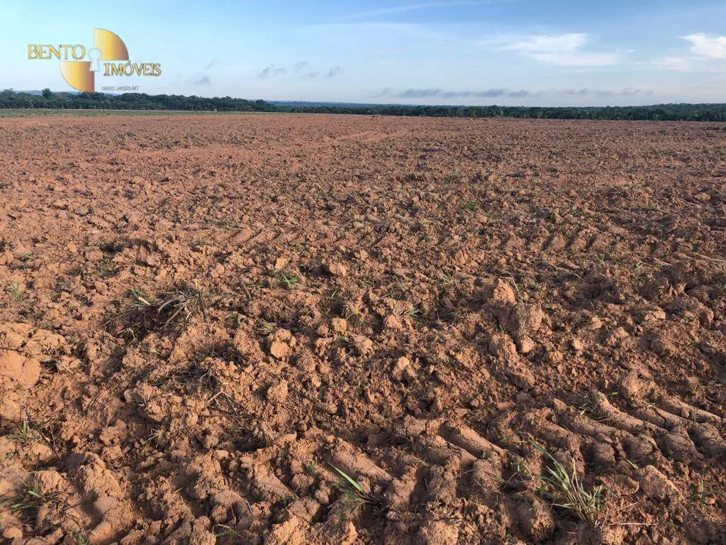 Fazenda à venda e para Arrendar de 158.000 ha em Paranatinga, MT, Brasil