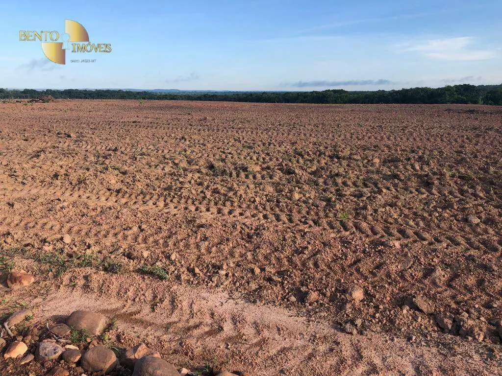 Fazenda à venda e para Arrendar de 158.000 ha em Paranatinga, MT, Brasil