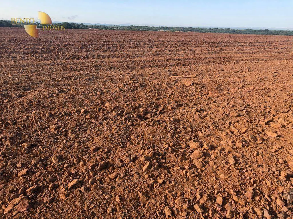 Fazenda à venda e para Arrendar de 158.000 ha em Paranatinga, MT, Brasil