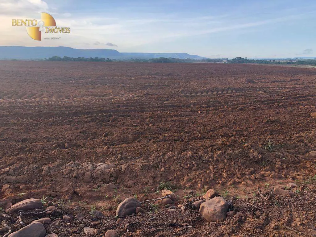 Fazenda à venda e para Arrendar de 158.000 ha em Paranatinga, MT, Brasil