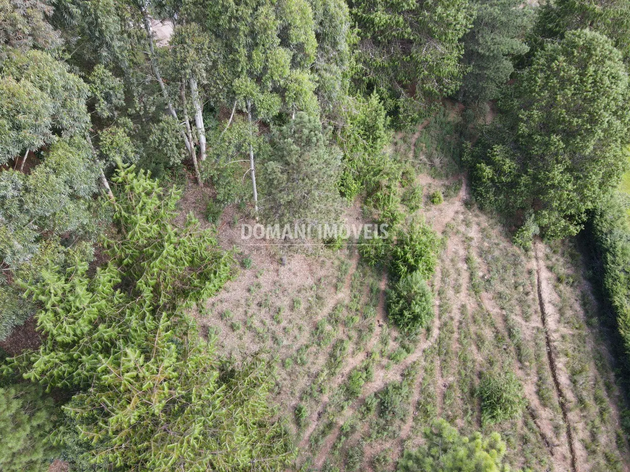 Terreno à venda de 1.500 m² em Campos do Jordão, SP, Brasil