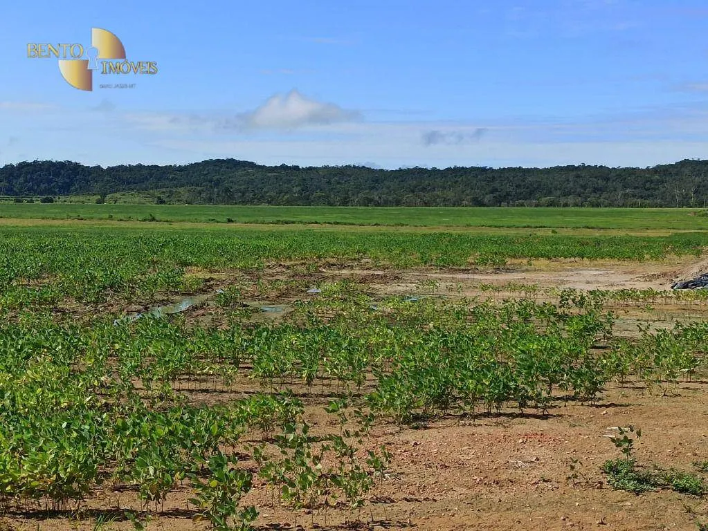 Fazenda à venda de 3.650 ha em Guarantã do Norte, MT, Brasil
