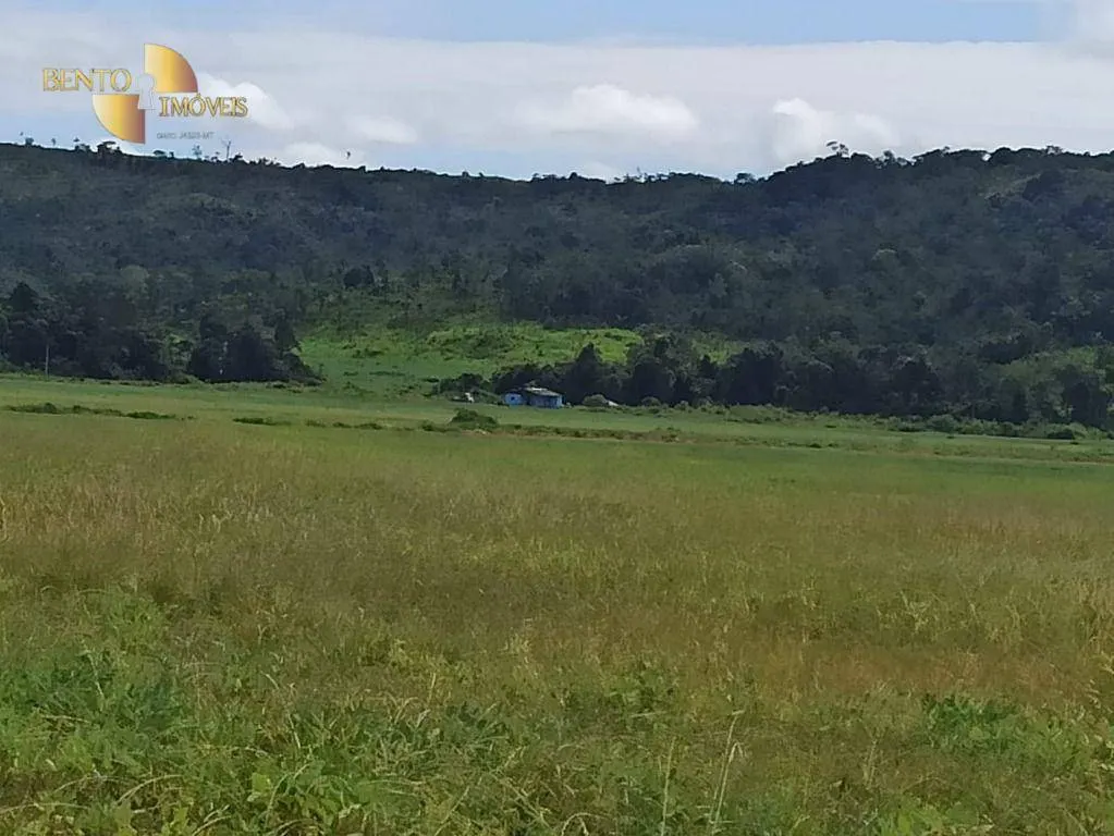 Fazenda à venda de 3.650 ha em Guarantã do Norte, MT, Brasil