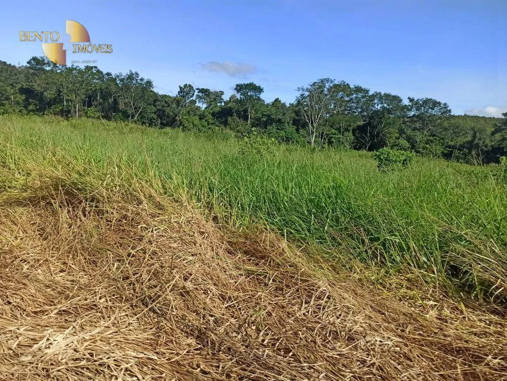 Fazenda à venda de 3.650 ha em Guarantã do Norte, MT, Brasil
