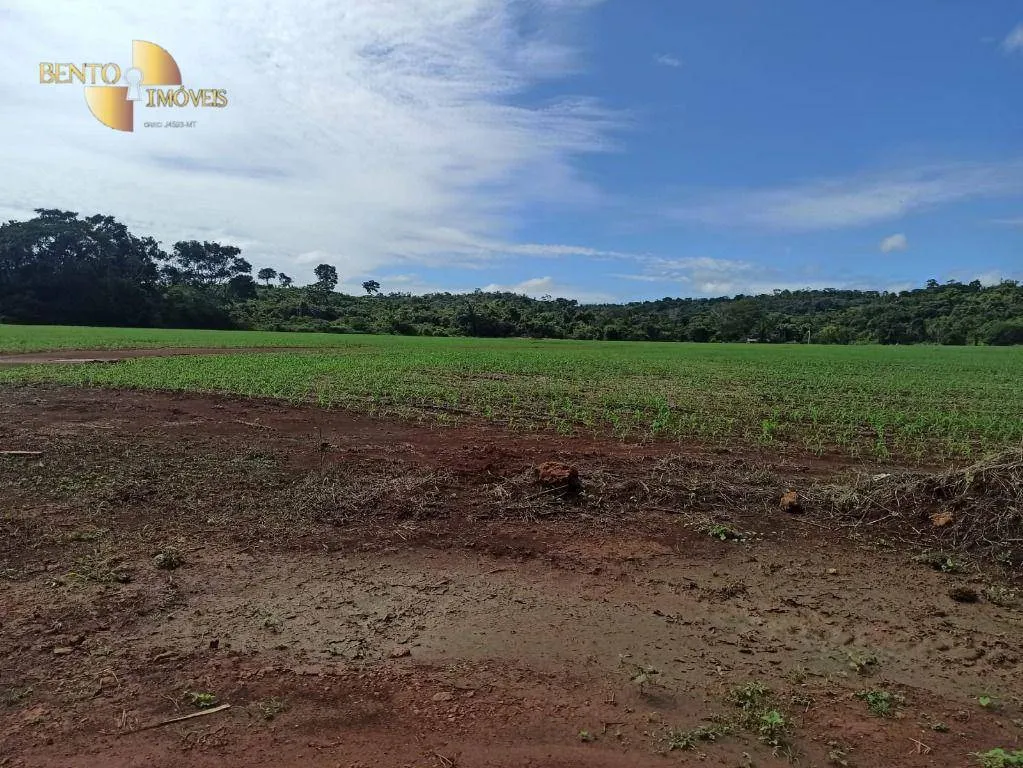 Fazenda à venda de 3.650 ha em Guarantã do Norte, MT, Brasil