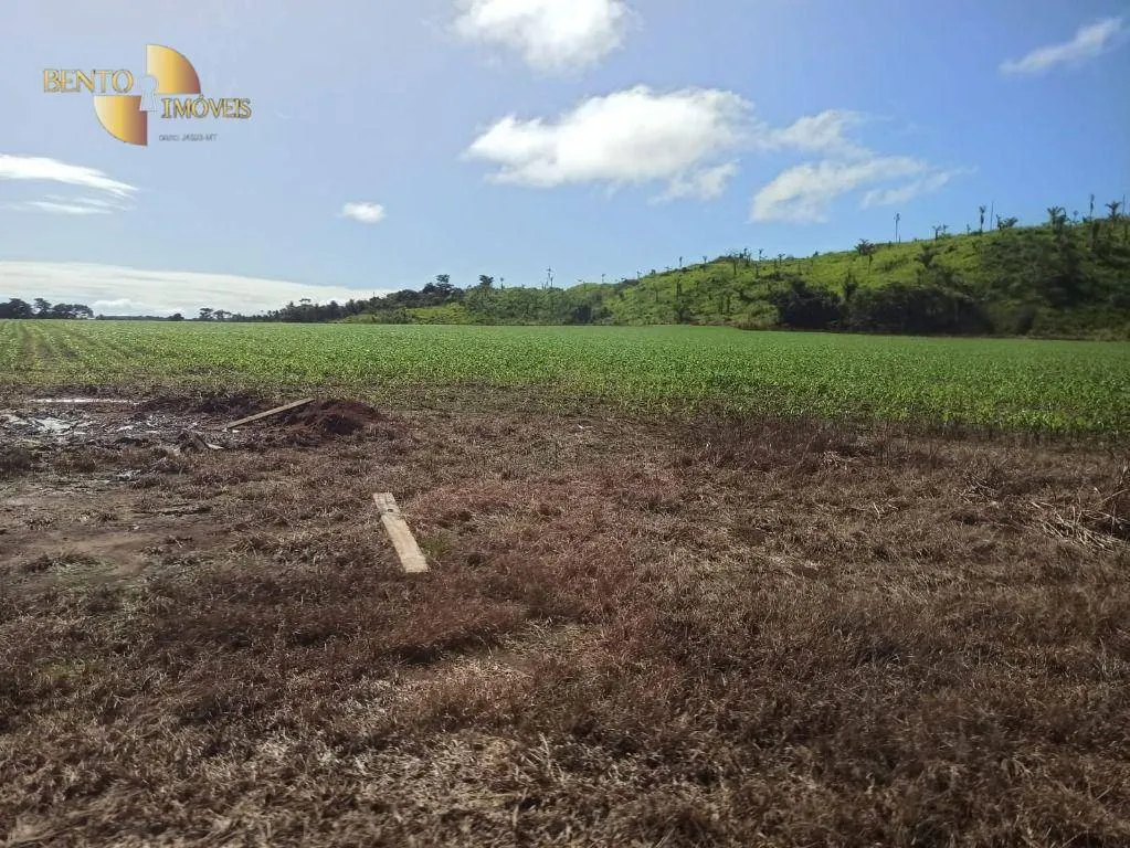 Fazenda à venda de 3.650 ha em Guarantã do Norte, MT, Brasil