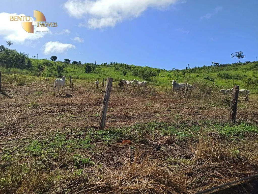 Fazenda à venda de 3.650 ha em Guarantã do Norte, MT, Brasil
