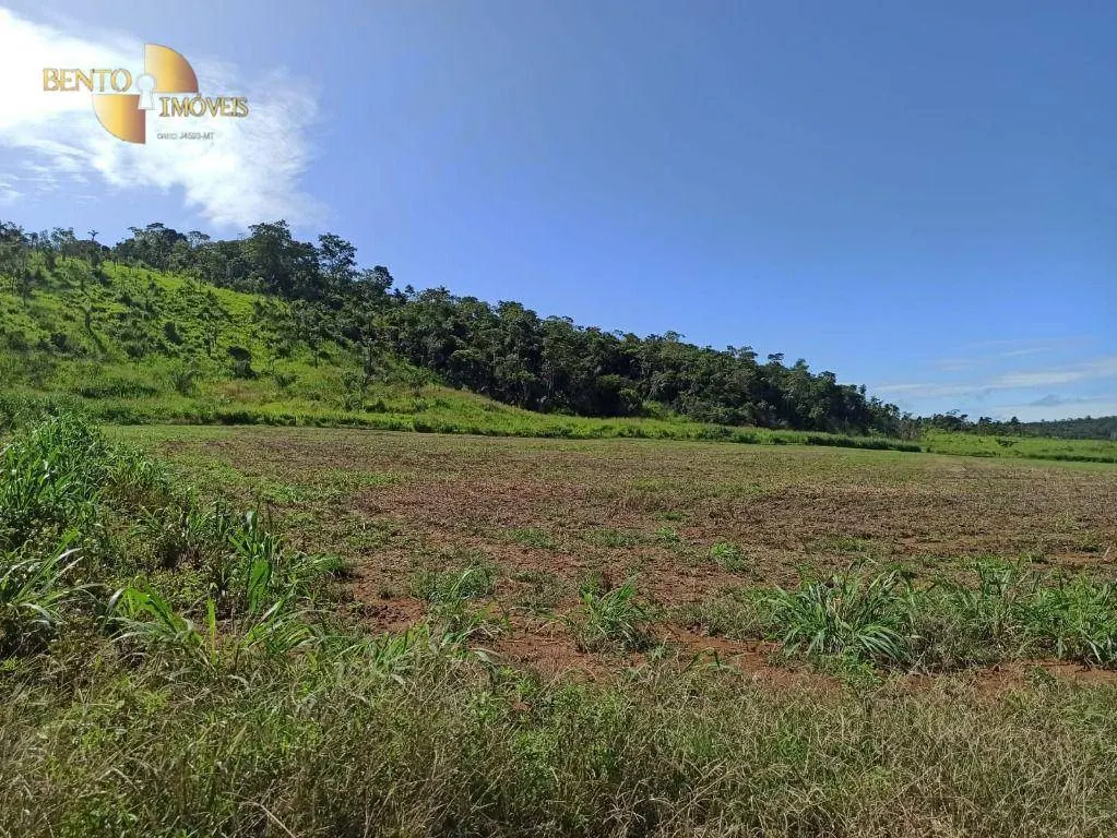 Fazenda à venda de 3.650 ha em Guarantã do Norte, MT, Brasil