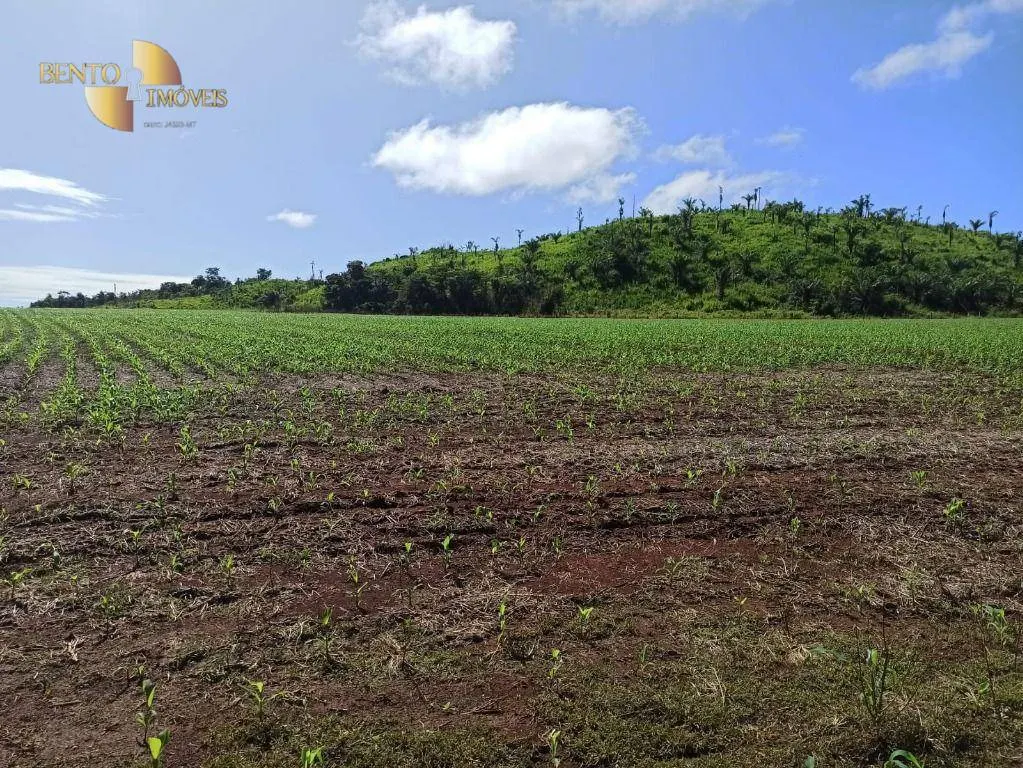 Fazenda à venda de 3.650 ha em Guarantã do Norte, MT, Brasil
