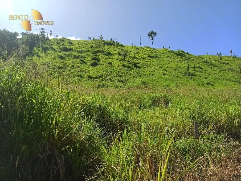 Fazenda à venda de 3.650 ha em Guarantã do Norte, MT, Brasil