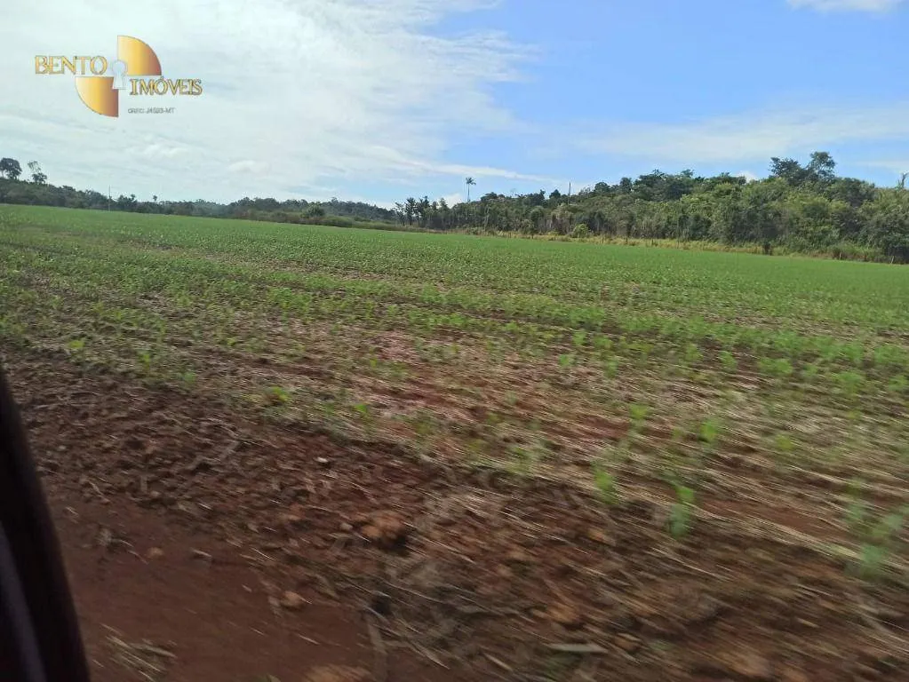 Fazenda à venda de 3.650 ha em Guarantã do Norte, MT, Brasil