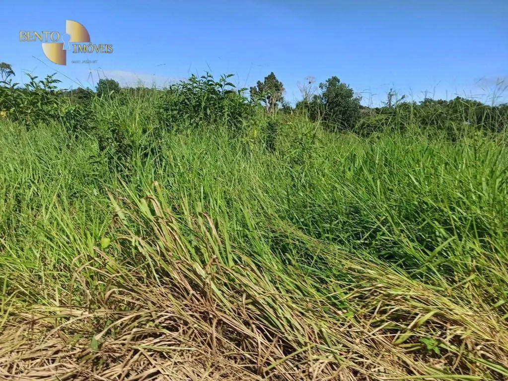 Fazenda à venda de 3.650 ha em Guarantã do Norte, MT, Brasil